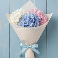 Букет цветов из:  Гортензия в Леличи
