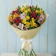 Букет цветов из:  Альстромерии в Леличи