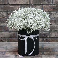 Цветочная композиция из Гипсофила в шляпной коробке #REPLACE_PRED# Леличи