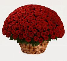 Премиум букет из: Розы в Леличи