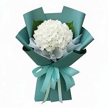 Букет цветов из:  Гортензия #REPLACE_PRED# Леличи